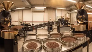 اندازه‌ گیری سایز دانه قهوه